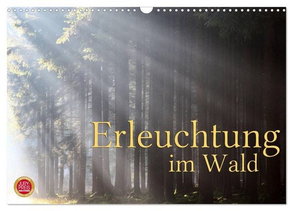 Produktbild: Erleuchtung im Wald (Wandkalender 2026 DIN A3 quer), CALVENDO Monatskalender