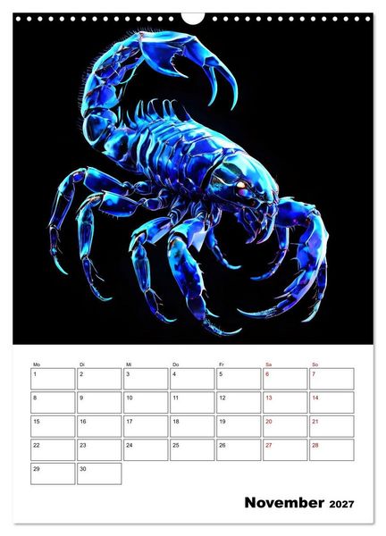 Produktbild: Die Konstellationen der Sterne (Wandkalender 2027 DIN A3 hoch), CALVENDO Monatskalender