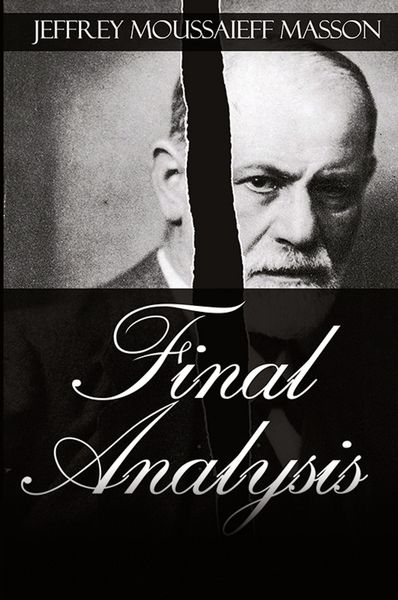 Produktbild: Final Analysis