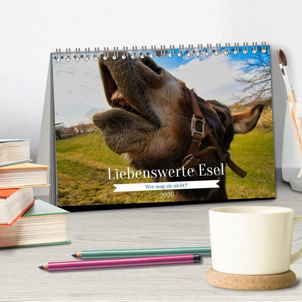Produktbild: Liebenswerte Esel (Tischkalender 2026 DIN A5 quer), CALVENDO Monatskalender