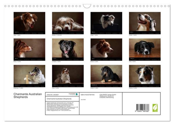 Produktbild: Charmante Australian Shepherds (Wandkalender 2026 DIN A3 quer), CALVENDO Monatskalender