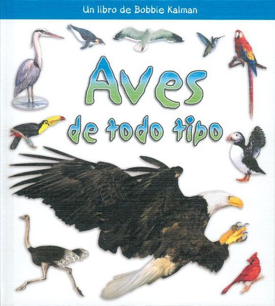 Produktbild: Aves de Todo Tipo (Birds of All Kinds)
