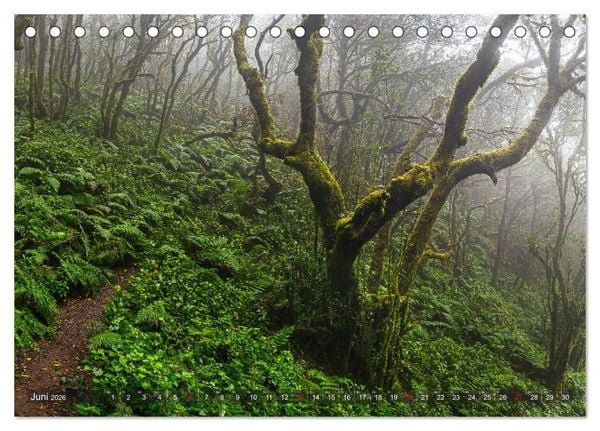 Produktbild: La Isla de La Gomera - Wilde Sch&ouml;nheit im Atlantik (Tischkalender 2026 DIN A5 quer), CALVENDO Monatskalender