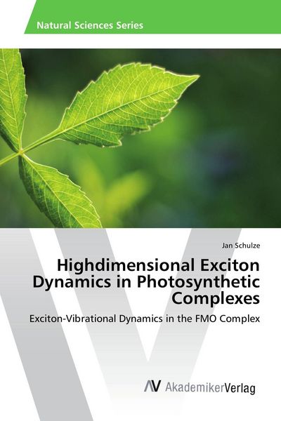Produktbild: Highdimensional Exciton Dynamics in Photosynthetic Complexes