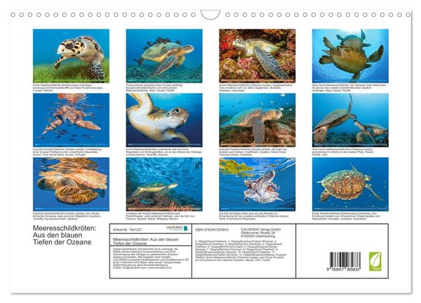 Produktbild: Meeresschildkr&ouml;ten: Aus den blauen Tiefen der Ozeane (Wandkalender 2026 DIN A3 quer), CALVENDO Monatskalender