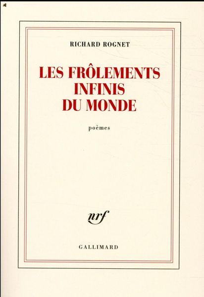 Produktbild: Les fr&ocirc;lements infinis du monde