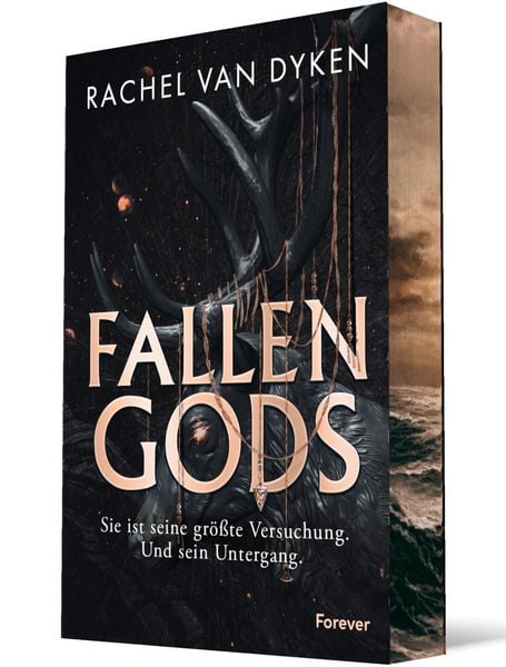 Produktbild: Fallen Gods