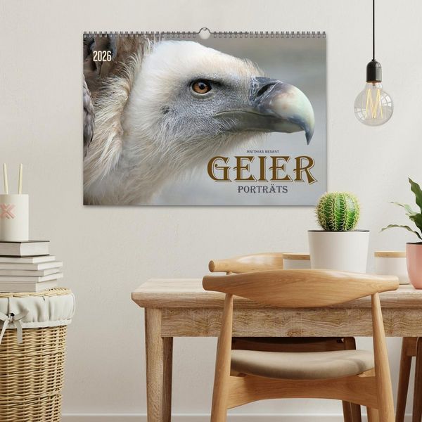 Produktbild: GEIERPORTR&Auml;TS (Wandkalender 2026 DIN A3 quer), CALVENDO Monatskalender