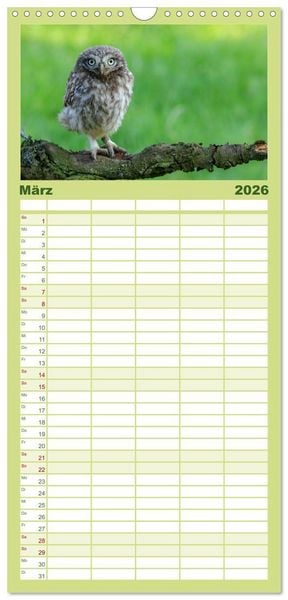Produktbild: Familienplaner 2026 - Steink&auml;uze (Athene noctua) mit 5 Spalten (Wandkalender, 21 x 45 cm) CALVENDO