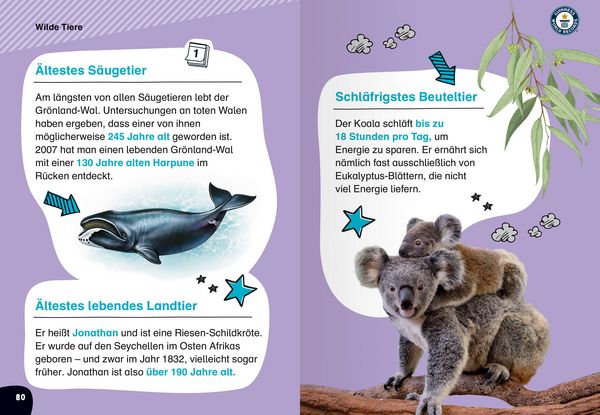 Produktbild: Guinness World Records f&uuml;r Erstleser - Die besten Rekorde f&uuml;r Erstleser