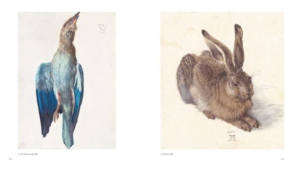 Produktbild: Albrecht Dürer - dt.