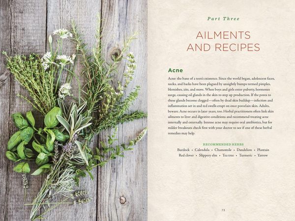 Produktbild: Healing Herbs Handbook
