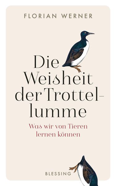 Produktbild: Die Weisheit der Trottellumme