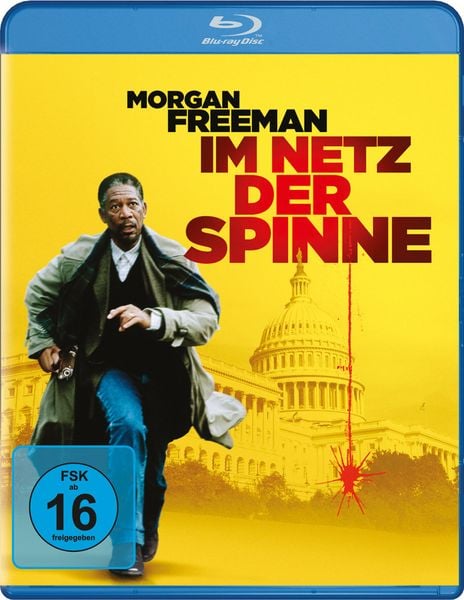 Im Netz der Spinne