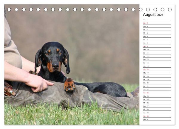 Produktbild: Der Brandlbracken-Terminplaner (Tischkalender 2026 DIN A5 quer), CALVENDO Monatskalender