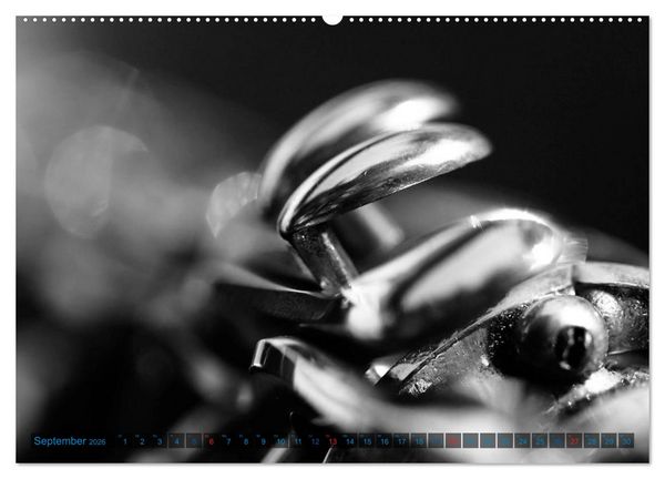 Produktbild: Klarinette - close up (Wandkalender 2026 DIN A2 quer), CALVENDO Monatskalender