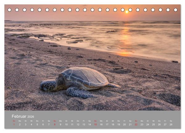 Produktbild: SPIRIT OF HAWAII (Tischkalender 2026 DIN A5 quer), CALVENDO Monatskalender