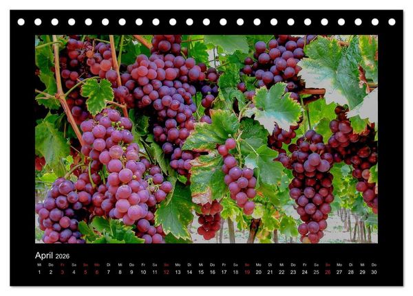 Produktbild: Wein - Reben, Wingerte und historische Weinkeller (Tischkalender 2026 DIN A5 quer), CALVENDO Monatskalender