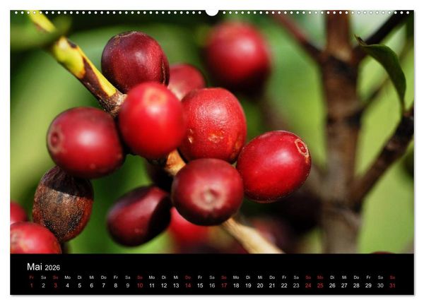 Produktbild: Zu Besuch beim Kaffee (hochwertiger Premium Wandkalender 2026 DIN A2 quer), Kunstdruck in Hochglanz