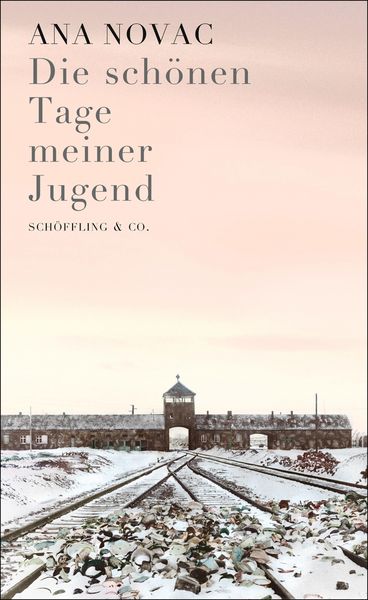 Produktbild: Die sch&ouml;nen Tage meiner Jugend