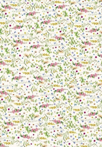 Produktbild: Geschenkpapier-Buch - Sch&ouml;ner schenken