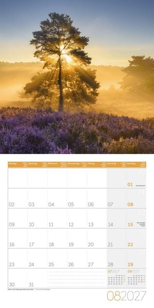 Produktbild: B&auml;ume Kalender 2027 - 30x30 - Art12
