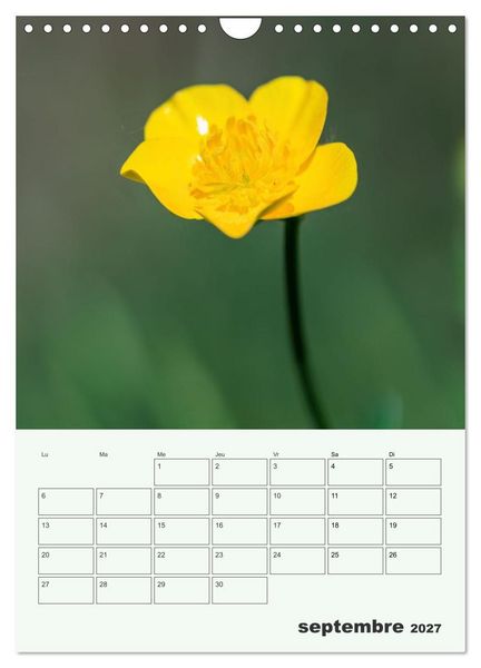 Produktbild: Fleurs en toute simplicit&eacute; - Beaut&eacute; minimaliste (Calendrier mural 2027 DIN A4 horizontal), CALVENDO calendrier mensuel