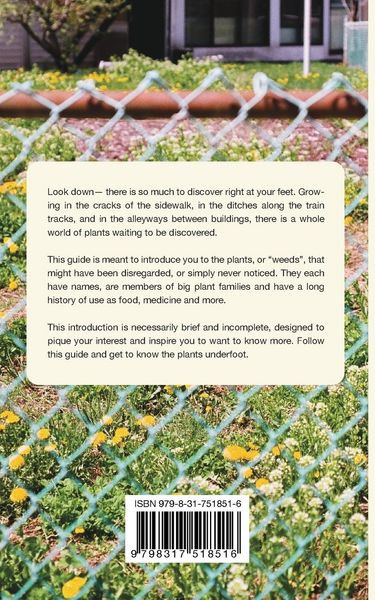 Produktbild: Sidewalk Plants