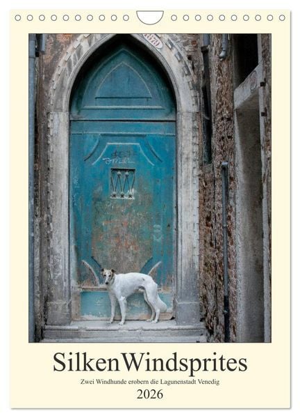 Produktbild: Silken Windsprites - Zwei Windhunde erobern die Lagunenstadt Venedig (Wandkalender 2026 DIN A4 hoch), CALVENDO Monatskalender