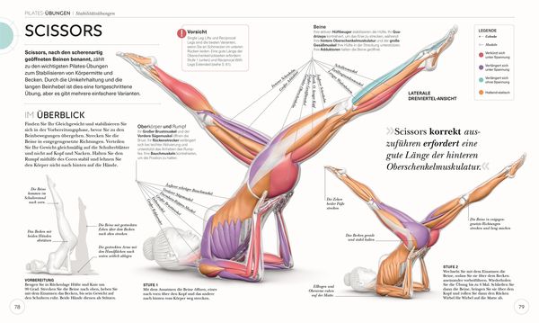Produktbild: Pilates - Die Anatomie verstehen
