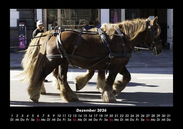 Produktbild: Die Welt der Pferde 2026 Fotokalender DIN A3