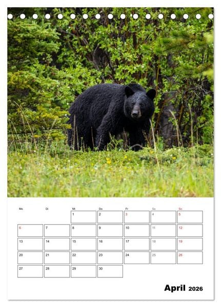 Produktbild: Mein Sch&ouml;nes Kanada (Tischkalender 2026 DIN A5 hoch), CALVENDO Monatskalender