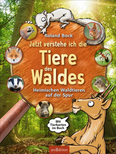 Jetzt verstehe ich die Tiere des Waldes