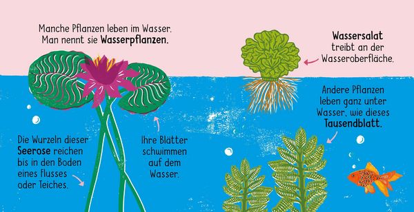 Produktbild: 50 W&ouml;rter &uuml;ber die Natur - Pflanzen