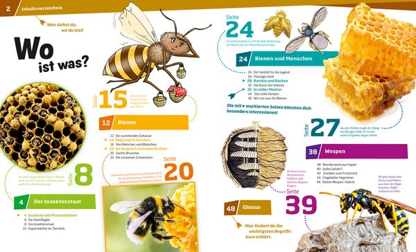 WAS IST WAS Band 19 Bienen und Wespen. Flüssiges Gold und spitzer Stachel