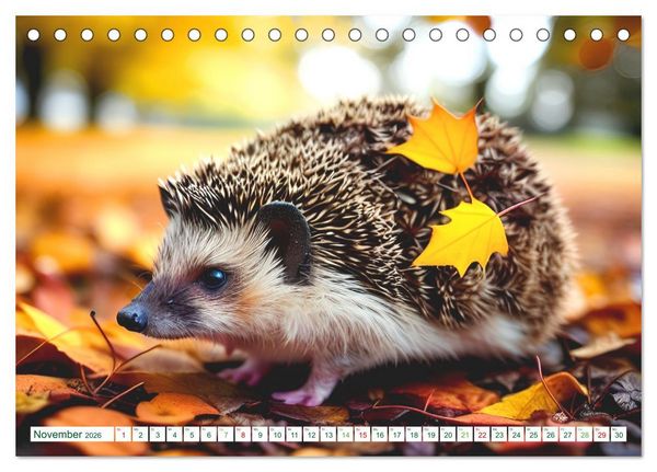 Produktbild: Niedliche Igel (Tischkalender 2026 DIN A5 quer), CALVENDO Monatskalender