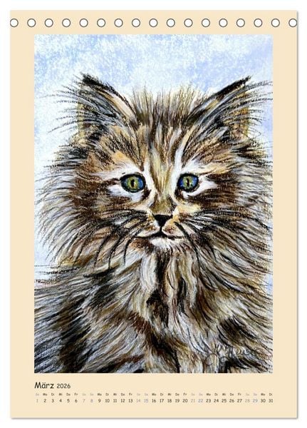 Produktbild: PortraiTierART Samtpf&ouml;tchen (Tischkalender 2026 DIN A5 hoch), CALVENDO Monatskalender