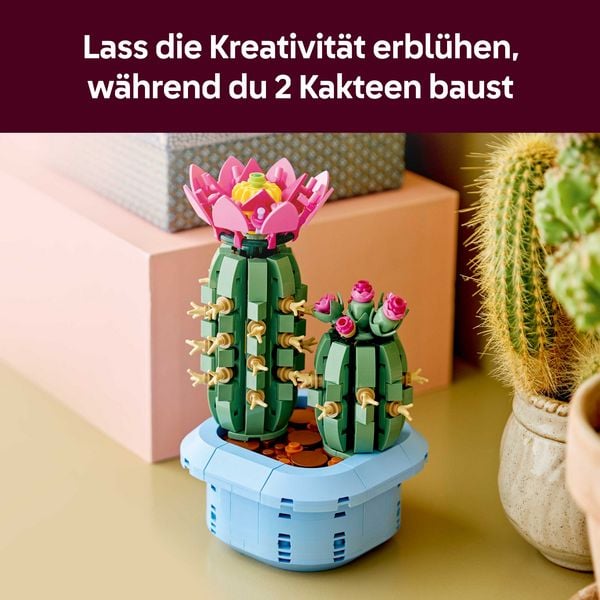 Produktbild: LEGO Botanicals 11509 Bl&uuml;hender Kaktus, Kunstblumen f&uuml;r M&auml;dchen ab 9