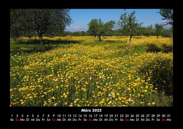 Produktbild: Blumenkalender 2025 Fotokalender DIN A3
