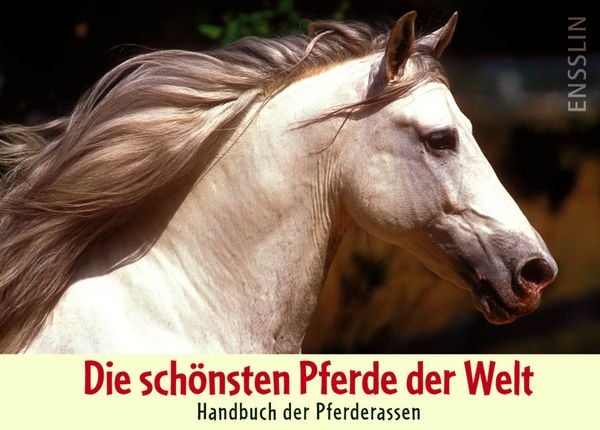 Produktbild: Die sch&ouml;nsten Pferde der Welt