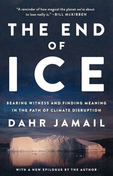 Produktbild: The End Of Ice