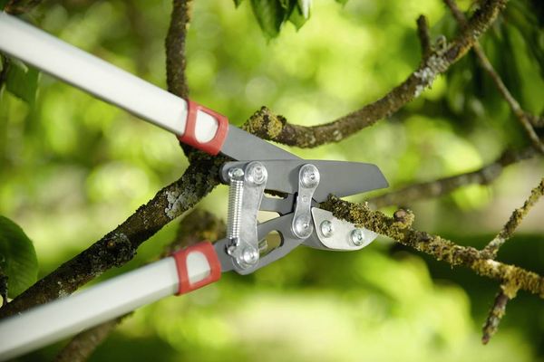 Produktbild: WOLF-Garten 73AGA010650 POWER CUT RS 800V Astschere 75cm Amboss