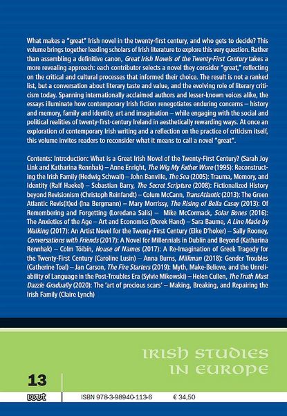 Produktbild: Great Irish Novels of the Twenty-First Century