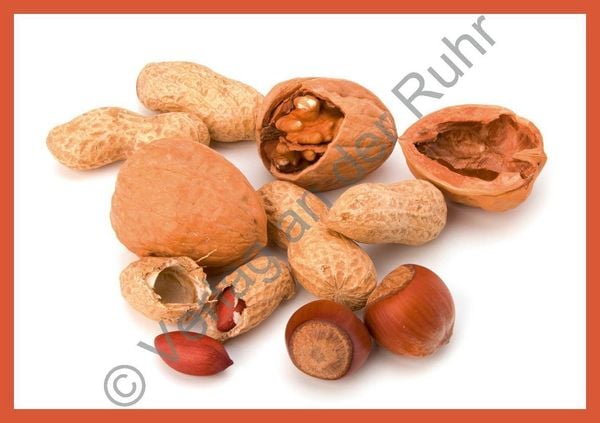 Produktbild: Grundwortschatz &ndash; Obst und Gem&uuml;se