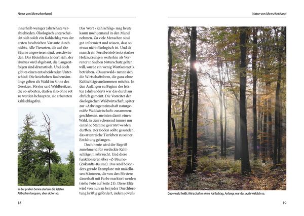 Produktbild: Menschenspuren im Wald