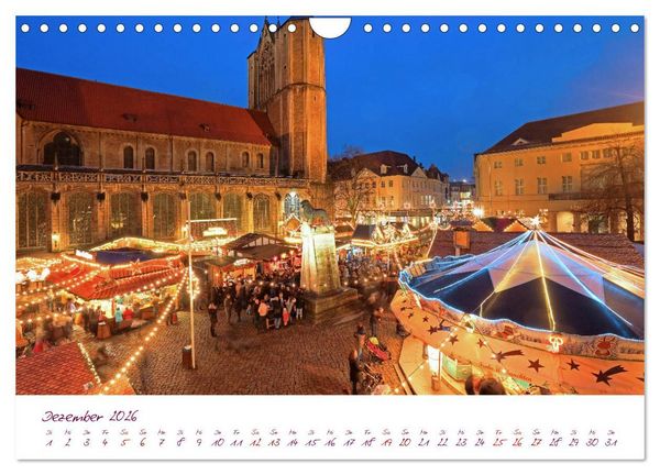 Produktbild: Braunschweig Im Zeichen des L&ouml;wen (Wandkalender 2026 DIN A4 quer), CALVENDO Monatskalender