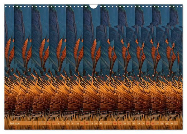 Produktbild: Magische Bilder - fantastische Stereogramme (Wandkalender 2026 DIN A3 quer), CALVENDO Monatskalender