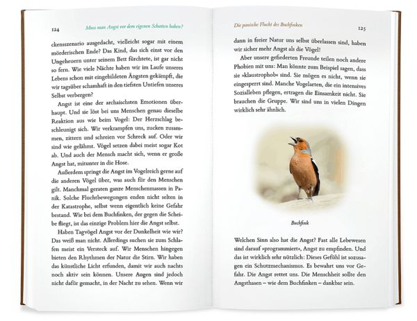 Produktbild: Kleine Philosophie der V&ouml;gel