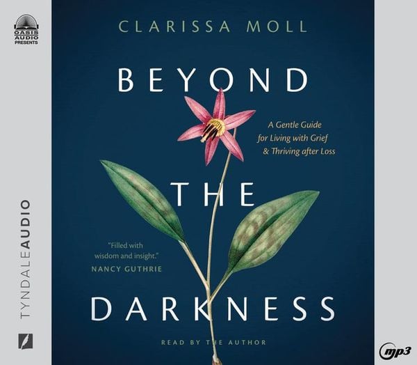 Produktbild: Beyond the Darkness