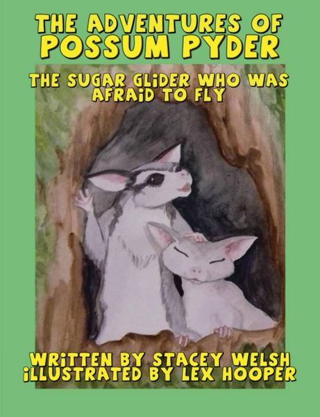 Produktbild: The Adventures of Possum Pyder